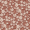Image Not Available